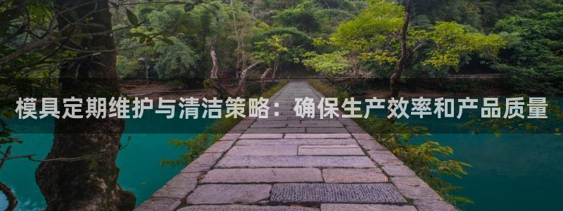 太阳c集团：模具定期维护与清洁策略：确保生产效率和产品质量