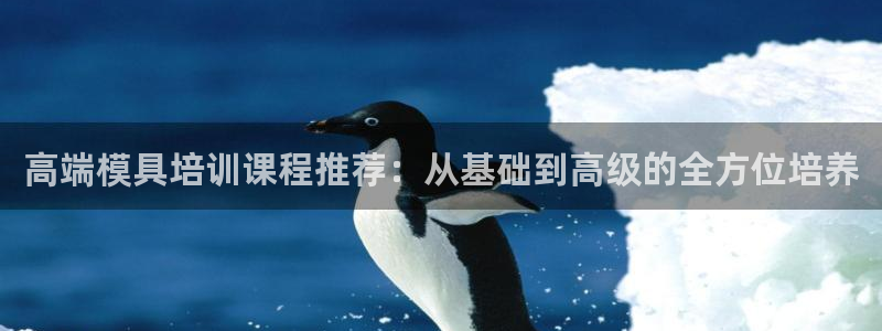 太阳集团手机app：高端模具培训课程推荐：从基础到高级的全方位培养