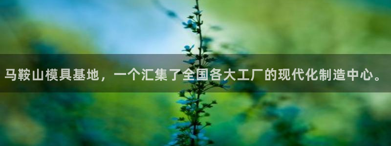 太阳app官方下载
