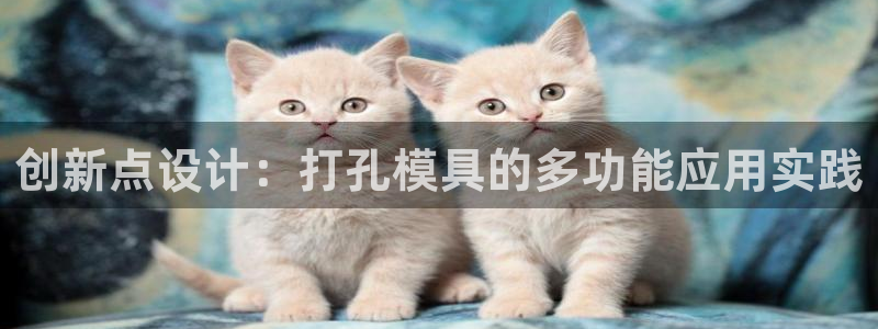 太阳成集团洗米华：创新点设计：打孔模具的多功能应用实践