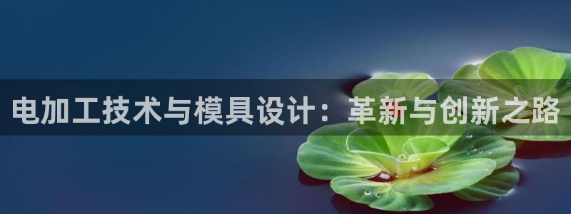 太阳成集团控股官网：电加工技术与模具设计：革新与创新之路