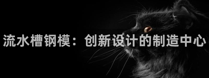 太阳集团城网址古天乐：流水槽钢模：创新设计的制造中心