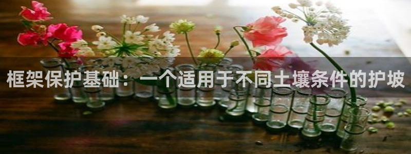 太阳app下载网址进入：框架保护基础：一个适用于不同土壤条件