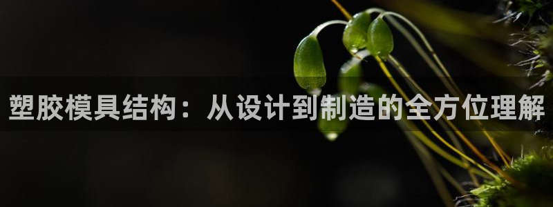 太阳诚集团有限公司地址：塑胶模具结构：从设计到制造的全方位理