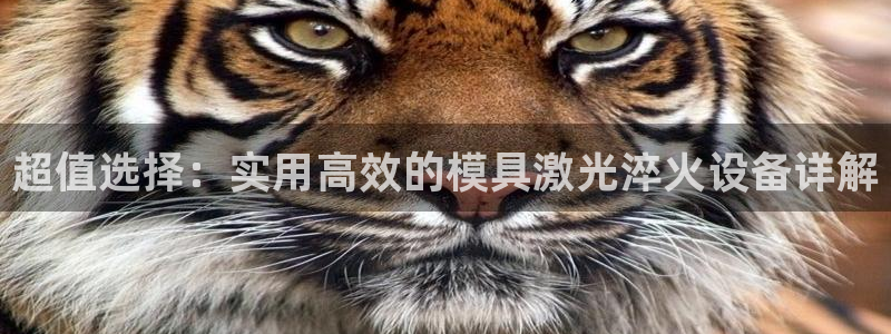 太阳集团控股有限公司官网香港