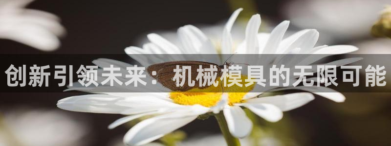 太阳成集团APP：创新引领未来：机械模具的无限可能