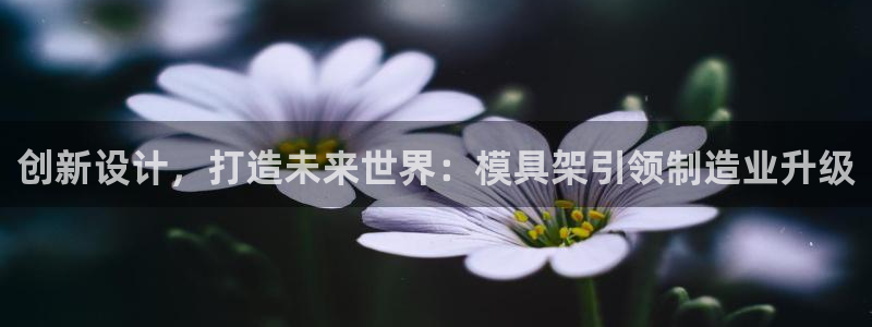 太阳集团城娱6543官网：创新设计，打造未来世界：模具架引领制造业升级