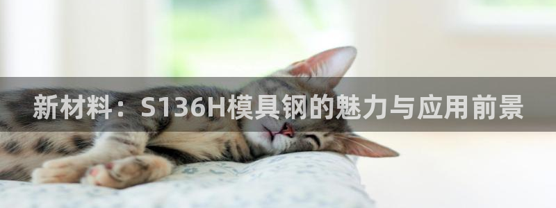 太阳成集团是干嘛的