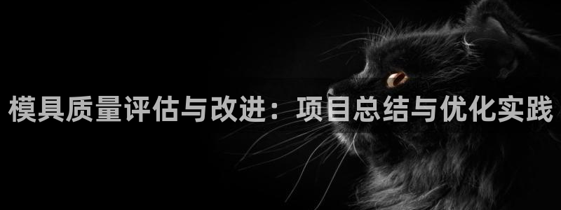 太阳集团古天乐代言：模具质量评估与改进：项目总结与优化实践