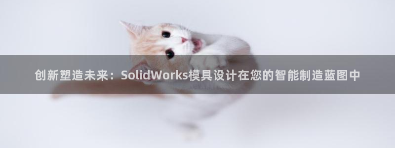 太阳app网页版：创新塑造未来：SolidWorks模具设计在您的智能制造蓝图中