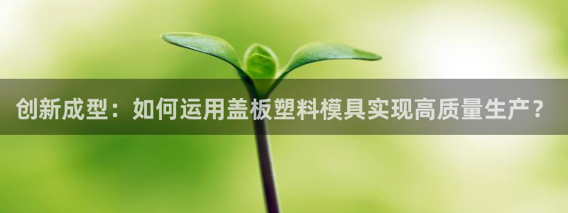 太阳成集团tyc234cc投资控股集团：创新成型：如何运用盖板塑料模具实现高质量生产？