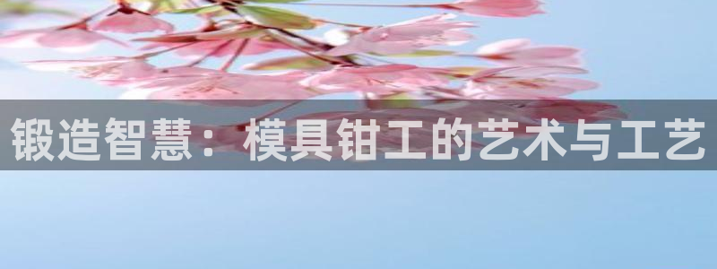 太阳集团游戏城：锻造智慧：模具钳工的艺术与工艺
