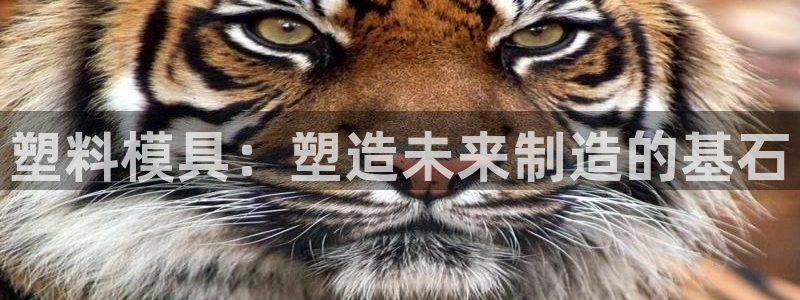 太阳集团电子游戏官方网站：塑料模具：塑造未来制造的基石