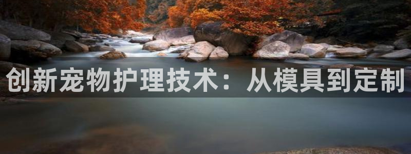 太阳影视公司：创新宠物护理技术：从模具到定制