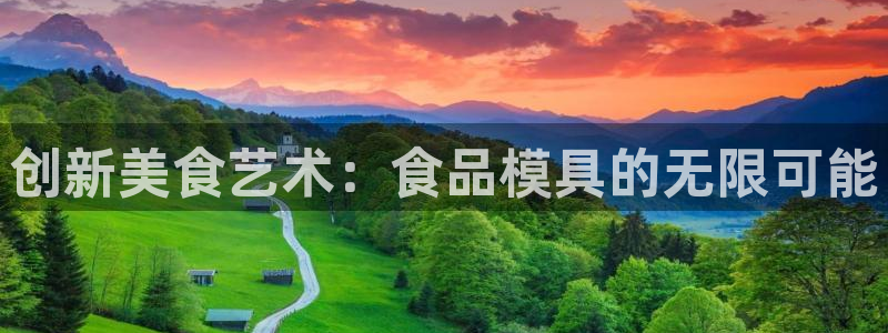 太阳gg在线测速登录：创新美食艺术：食品模具的无限可能