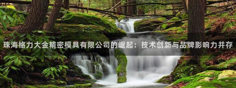 太阳集团城网址娱网 - 太阳集团电子游戏：珠海格力大金精密模具有限公司的崛起：技术创新与品牌影响力并存