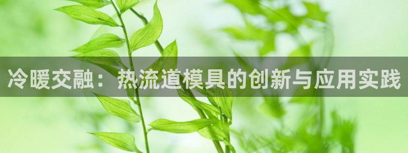 太阳神电子游戏平台：冷暖交融：热流道模具的创新与应用实践