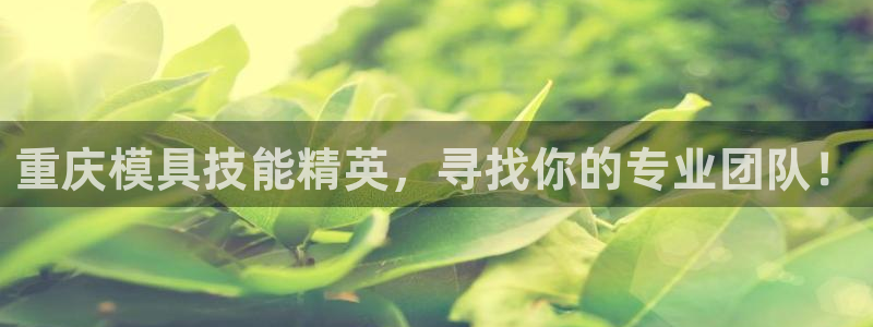 太阳诚集团网站：重庆模具技能精英，寻找你的专业团队！