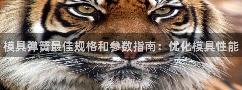 太阳集团城网站2017：模具弹簧最佳规格和参数指南：优化模具性能