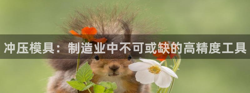 太阳成集团网站取款