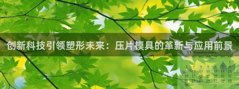 太阳集团网站5017：创新科技引领塑形未来：压片模具的革新与应用前景