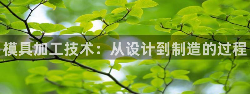 太阳gg登陆测试：模具加工技术：从设计到制造的过程
