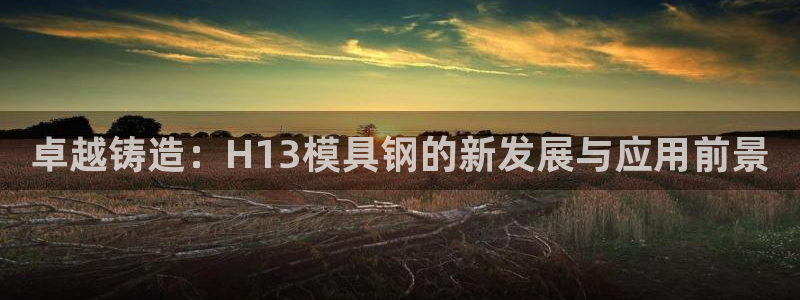 太阳集团是一家什么公司