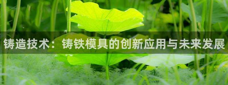 太阳地产集团：铸造技术：铸铁模具的创新应用与未来发展