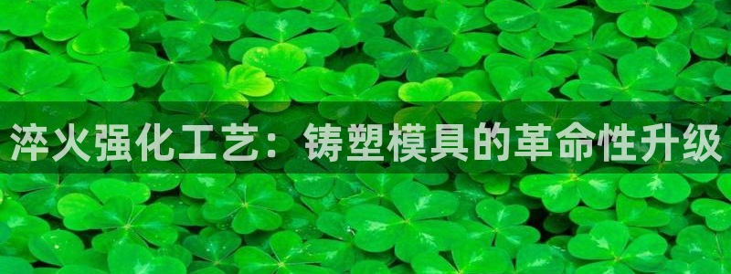 澳门太阳集团洗米华：淬火强化工艺：铸塑模具的革命性升级