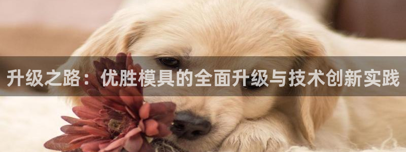 太阳集团注册就送38：升级之路：优胜模具的全面升级与技术创新实践