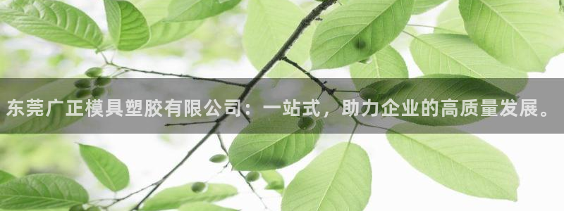 太阳成集团网站6888：东莞广正模具塑胶有限公司：一站式，助力企业的高质量发展。
