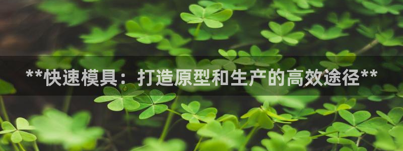 太阳游戏成语：**快速模具：打造原型和生产的高效途径**