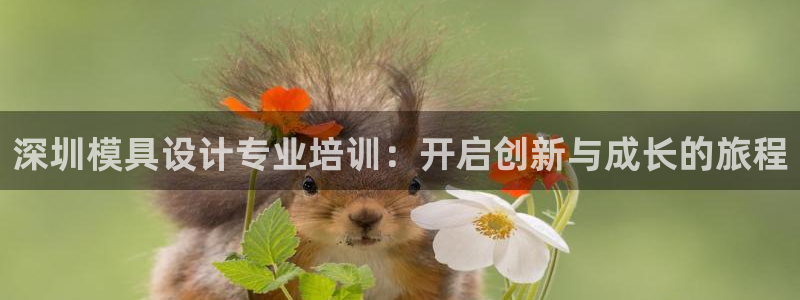 太阳阳城集团太阳卡：深圳模具设计专业培训：开启创新与成长的旅程