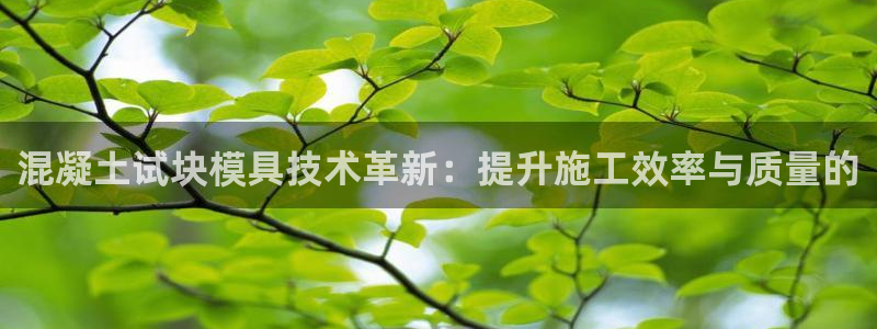 太阳集团8027：混凝土试块模具技术革新：提升施工效率与质量的