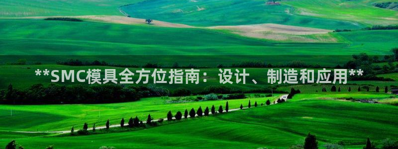 太阳集团游戏城旧版：**SMC模具全方位指南：设计、制造和应用**