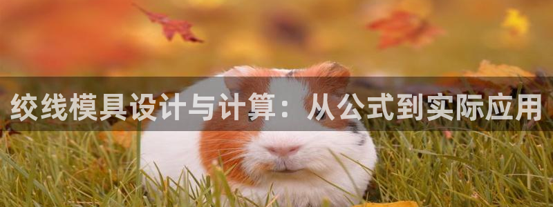 太阳成集团tyc7111cc的研发体系