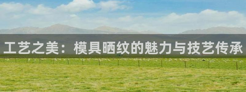 太阳游戏成语：工艺之美：模具晒纹的魅力与技艺传承