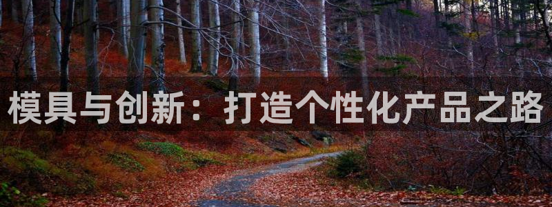 太阳集团78566备用网址：模具与创新：打造个性化产品之路