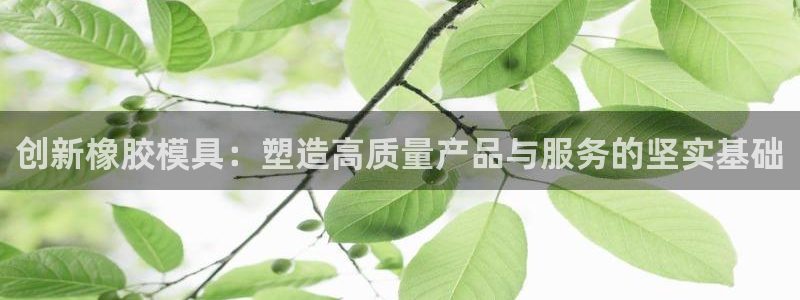 太阳成集团tyc122ccvlp：创新橡胶模具：塑造高质量产品与服务的坚实基础