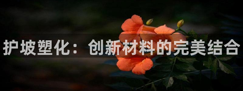 太阳成集团tyc234cc[主页]网址：护坡塑化：创新材料的完美结合