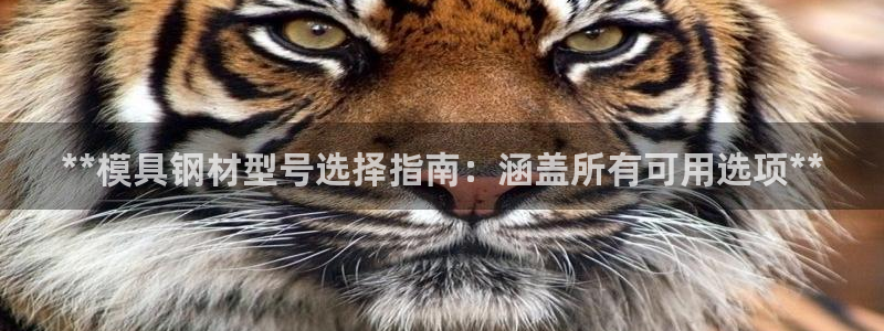 太阳集团电子游戏APP登录入口：**模具钢材型号选择指南：涵盖所有可用选项**