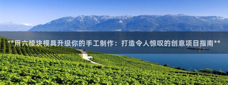 太阳2游戏娱乐官网：**用六棱块模具升级你的手工制作：打造令人惊叹的创意项目指南**