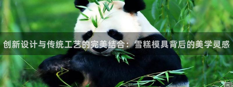 太阳集团影视：创新设计与传统工艺的完美结合：雪糕模具背后的美学灵感