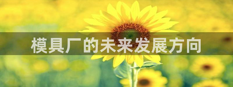 太阳成下载：模具厂的未来发展方向