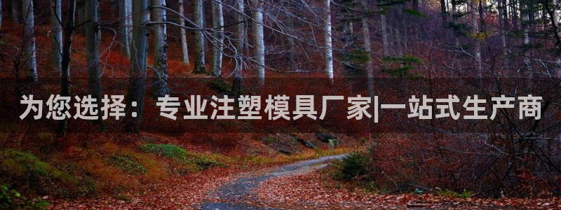太阳gg会员登录：为您选择：专业注塑模具厂家|一站式生产商