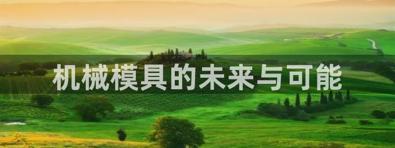 太阳集市网上商城：机械模具的未来与可能