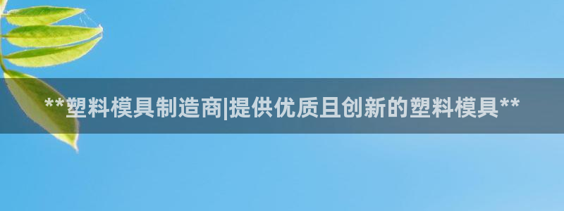 太阳集团电子游戏：**塑料模具制造商|提供优质且创新的塑料模具**