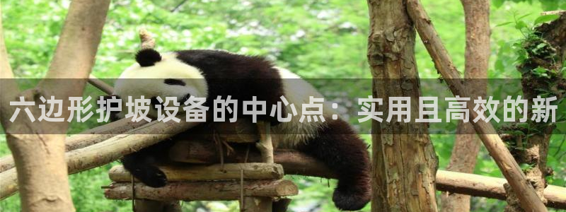 太阳app官方下载