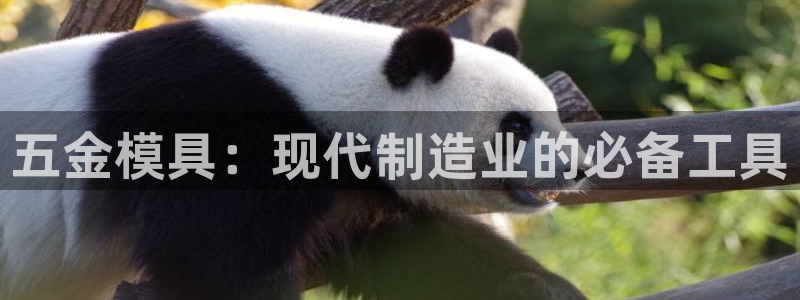 古天乐 太阳灯：五金模具：现代制造业的必备工具