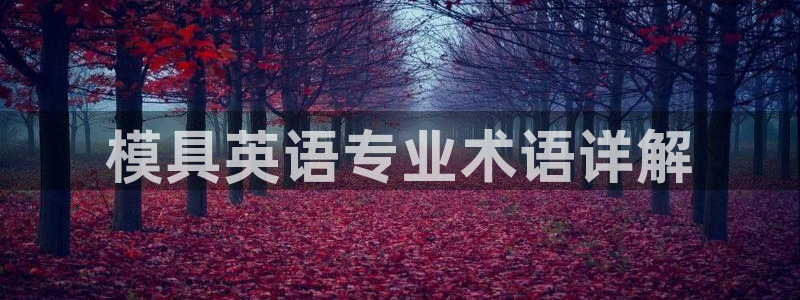 太阳集团股份有限公司是国企吗：模具英语专业术语详解